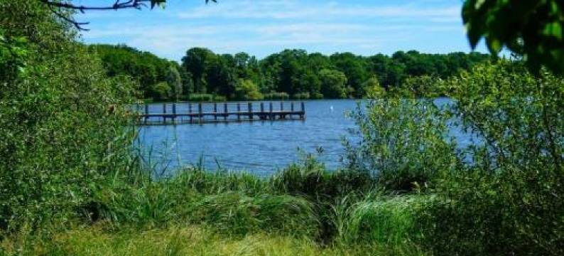 Le Ciel étoilé, Belfort Ville图片