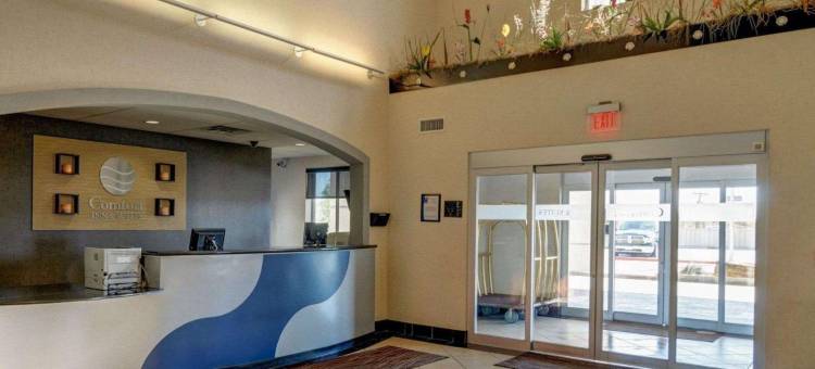 阿马里洛东部舒适套房酒店(Comfort Inn & Suites Amarillo East)图片