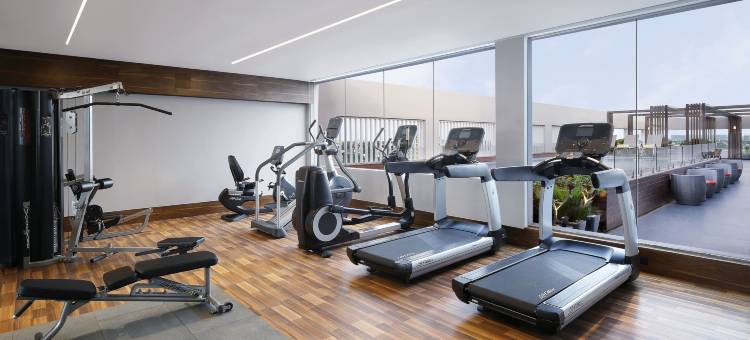 金奈沙米耶尔路诺富特酒店(Novotel Chennai Chamiers Road)图片