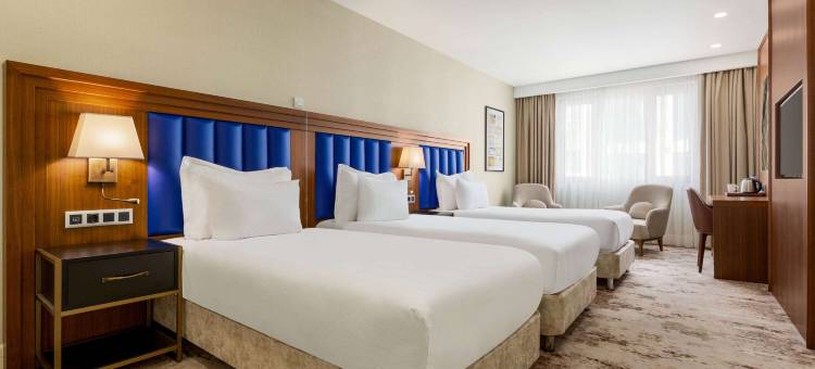 温德姆华美达广场-伊斯坦布尔苏丹艾哈迈德(Ramada Plaza by Wyndham Istanbul Sultanahmet)图片