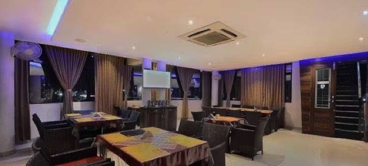 萨曼维国际酒店(Hotel Samanvi International)图片