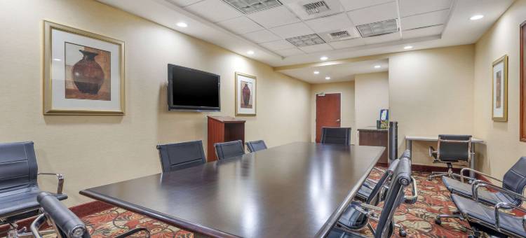 舒适套房酒店(Comfort Suites)图片