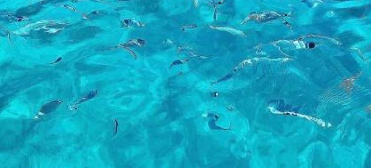 La Costa Rooms图片