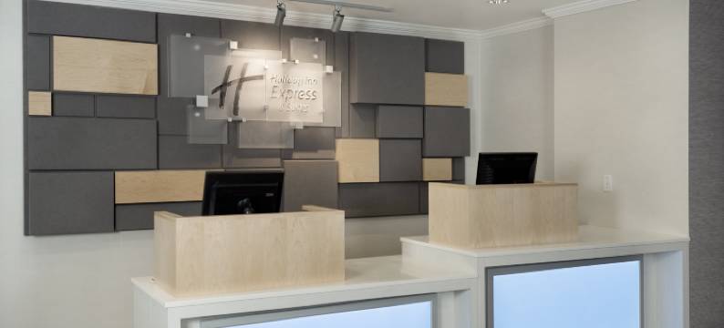 梅迪辛哈特横加1号高速公路智选假日套房酒店(Holiday Inn Express & Suites MEDICINE HAT TRANSCANADA HWY 1 by IHG)图片