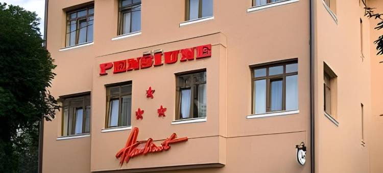 安姆比恩特膳食公寓酒店(Pensiunea Ambient)图片