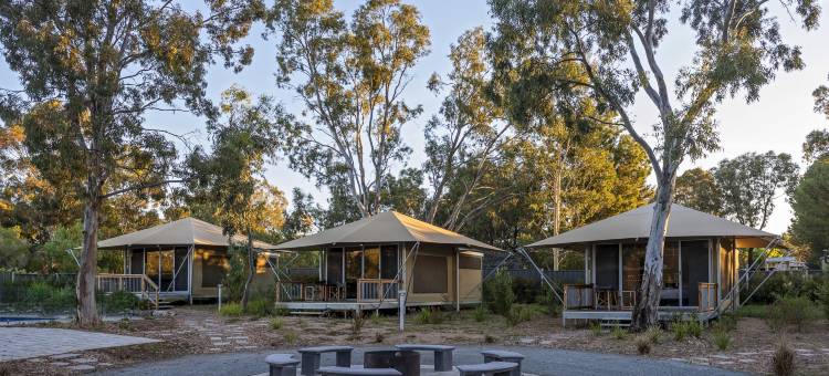 发现公园 - 巴罗萨谷(Discovery Parks - Barossa Valley)图片