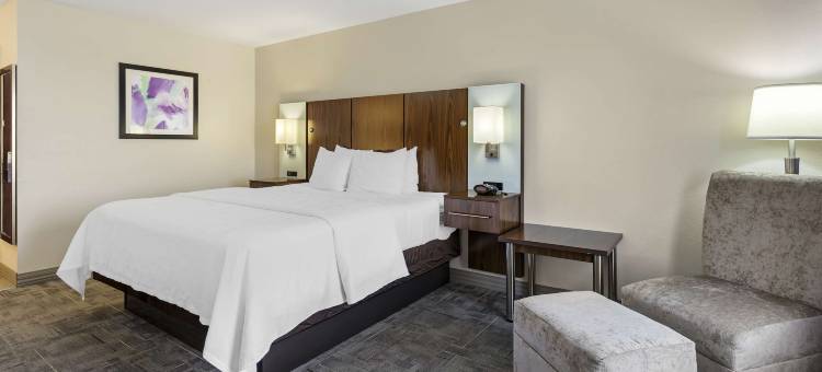 X世代贝斯特韦斯特优质酒店(Best Western Plus Gen X Inn)图片