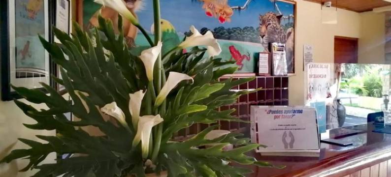 阿玛波拉度假酒店(Amapola Resort)图片