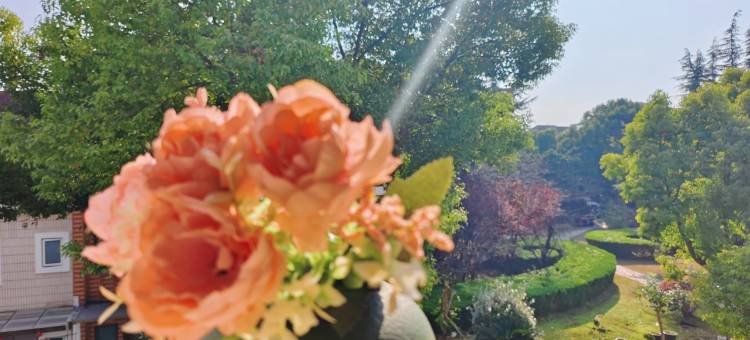 上大宝山校区民宿(锦秋路4号分店)图片