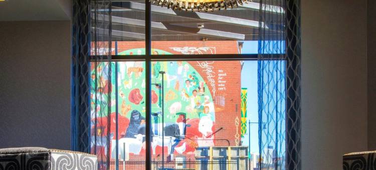 波士顿剑桥万枫酒店(Fairfield Inn & Suites Boston Cambridge)图片