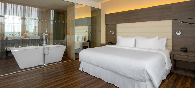 波哥大福朋喜来登酒店(Four Points by Sheraton Bogota)图片