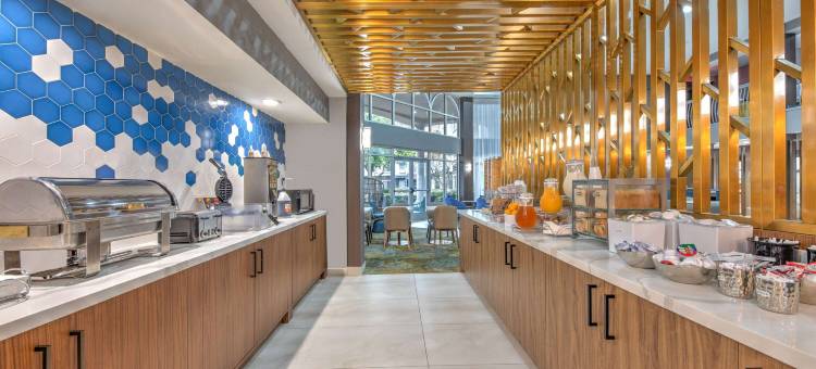 达拉斯DFW机场北拉昆塔温德姆套房酒店(La Quinta Inn & Suites by Wyndham Dallas DFW Airport North)图片