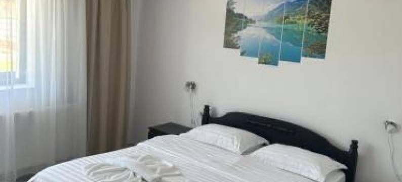 Pensiunea Poiana Dornei图片