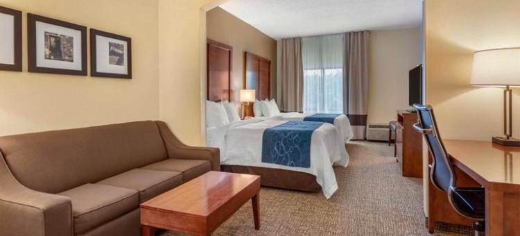 利斯堡历史区智选假日酒店(Holiday Inn Express & Suites Leesburg - Historic District)图片