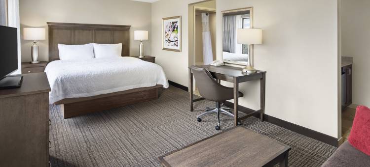 希尔顿欢朋套房酒店-亚历山大南旧城区(Hampton Inn & Suites Alexandria Old Town Area South)图片