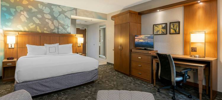 阿什维尔机场万怡酒店(Courtyard Asheville Airport)图片