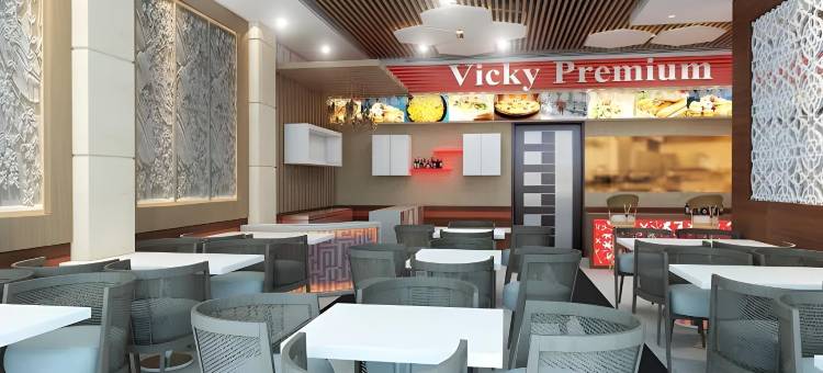薇琪广场酒店(Hotel Vickys Plaza)图片