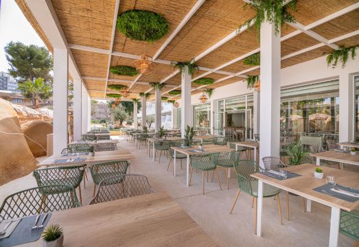 MarSenses Rosa del Mar Hotel & Spa Hotel Overview