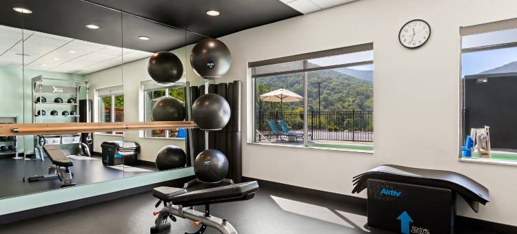 希尔顿阿什维尔蓝岭公园大道Tru酒店(Tru by Hilton Asheville Blue Ridge Parkway)图片