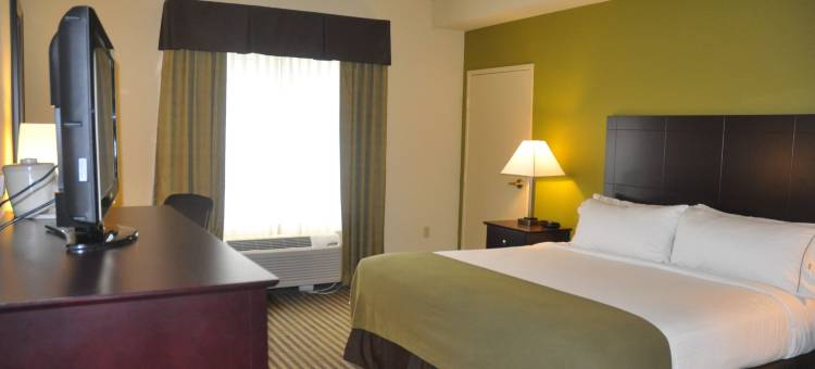 智选假日套房酒店萨拉索塔(Holiday Inn Express & Suites Sarasota East - I-75)图片