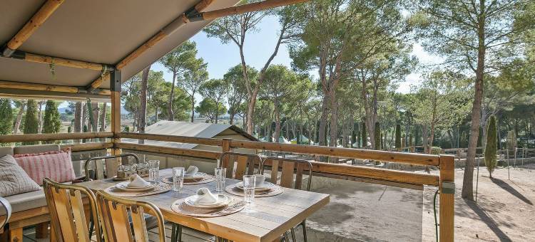 卡斯特尔蒙特格里露营地(Camping Castell Montgri)图片