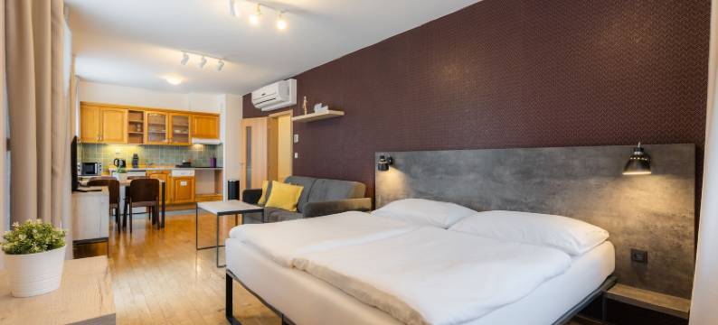 瓦茨拉夫广场EA公寓酒店(EA ApartHotel Melantrich)图片