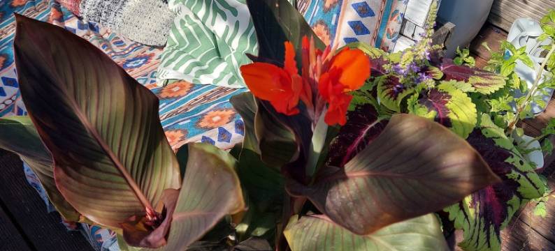 蜃景旅馆(Looming Hostel)图片