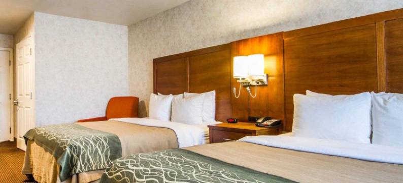 沃森维尔舒适酒店(Comfort Inn Watsonville)图片