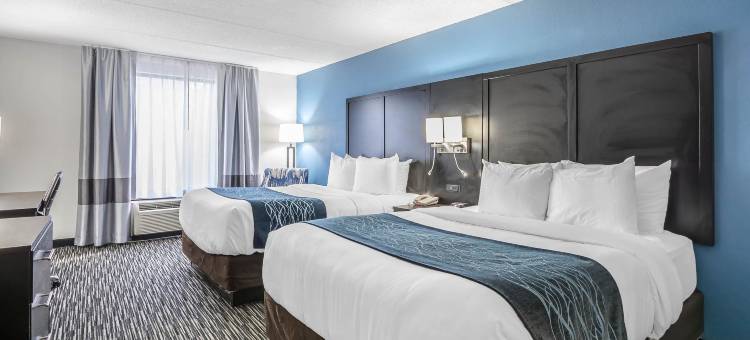 盖恩斯维尔大学舒适酒店(Comfort Inn University)图片