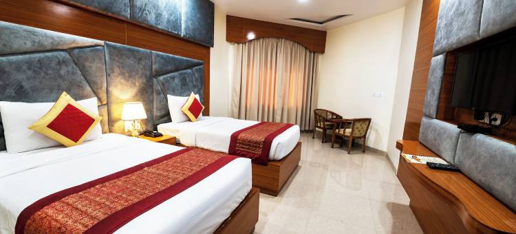 安纳德国际酒店(Hotel Anand International)图片