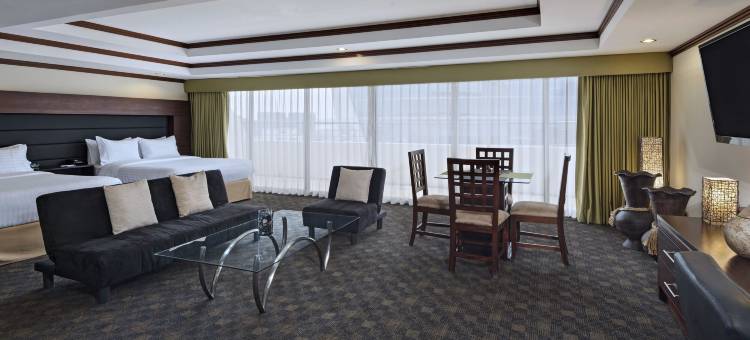 Holiday Inn 危地马拉(Holiday Inn Guatemala)图片