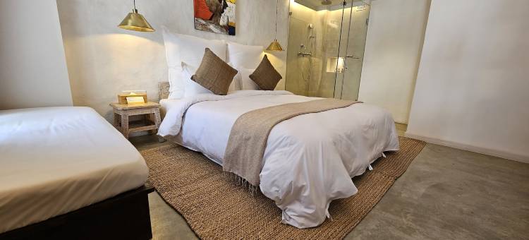 The Nanee(The Nanee)图片