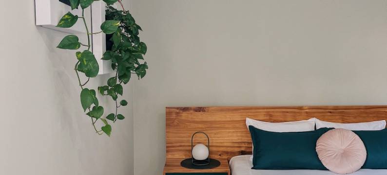 露娜之家(Luna House & Cowork)图片