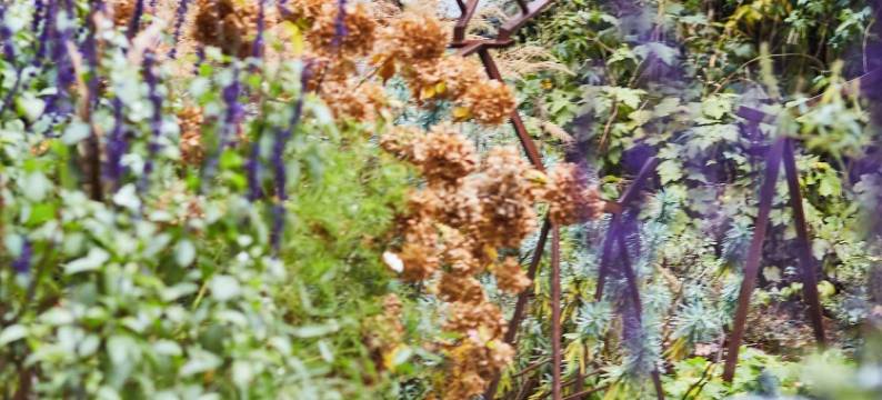 安达仕阿姆斯特丹王子运河酒店-凯悦旗下(Andaz Amsterdam Prinsengracht, by Hyatt)图片