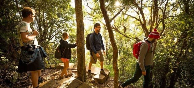 沃宁山雨林公园旅馆(Mt Warning Rainforest Park)图片