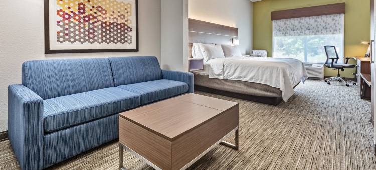 智选假日套房酒店苏黎世湖，巴林顿(Holiday Inn Express & Suites Lake Zurich-Barrington)图片