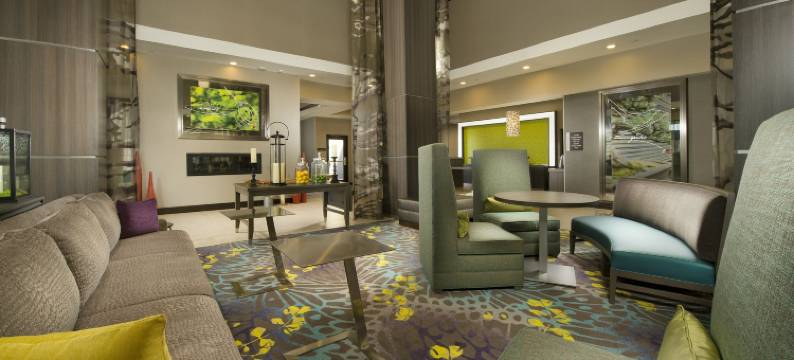 希尔顿花园酒店学院站(Hilton Garden Inn College Station)图片