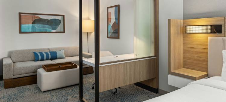 万豪贝滕多夫 Springhill 套房酒店(SpringHill Suites Bettendorf)图片