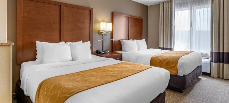 科拉尔维尔I-80舒适套房酒店(Comfort Suites Coralville I-80)图片