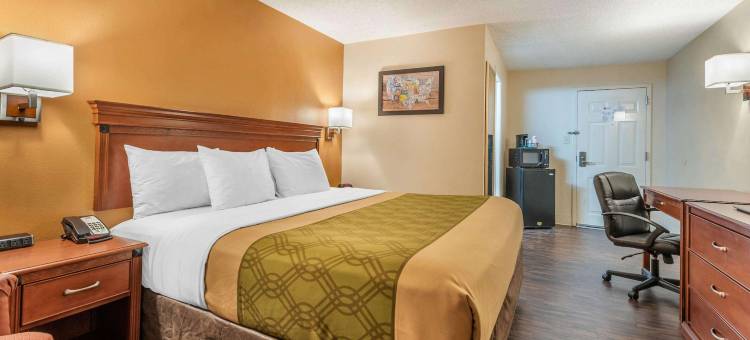 路易斯威尔市中心伊康旅馆(Econo Lodge Downtown)图片