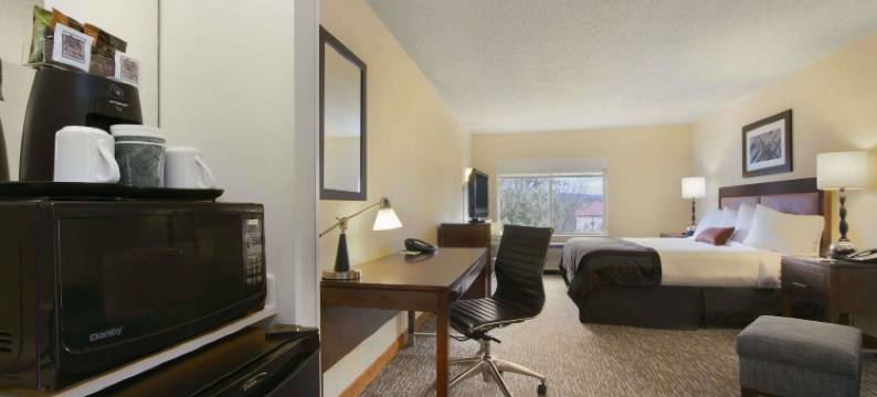 查塔努加蔚景温德姆酒店(Wingate by Wyndham Chattanooga)图片