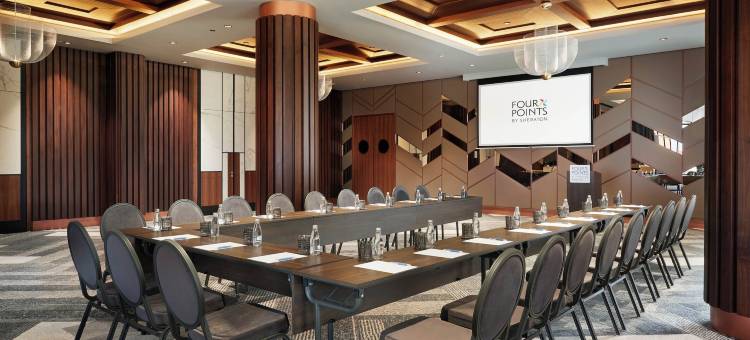 普里什蒂纳市福朋喜来登酒店(Four Points by Sheraton Prishtina City)图片