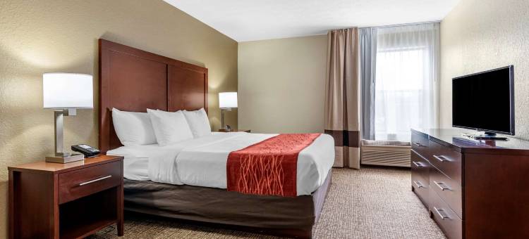 辛辛那提东门舒适套房酒店(Comfort Inn & Suites Cincinnati Eastgate)图片