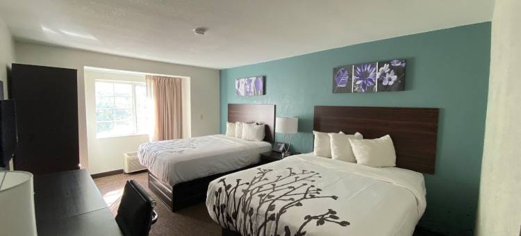杰克逊维尔机场舒眠酒店(Sleep Inn Jacksonville Airport)图片