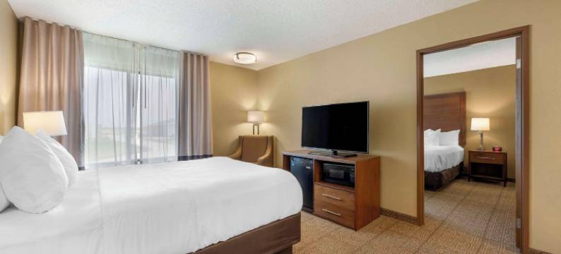 列克星敦舒适酒店(Comfort Inn)图片