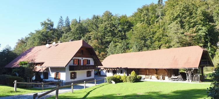 塞鲁加乡村酒店(Domačija Šeruga Countryside Hotel)图片