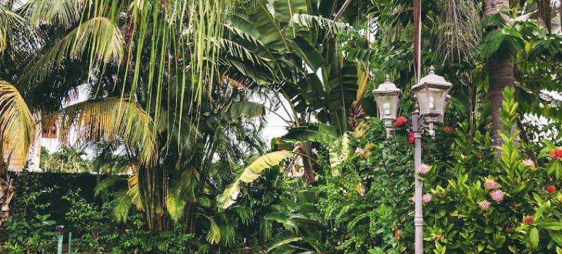 卡里瓦克村整体疗养圣地(Kariwak Village Holistic Haven and Hotel)图片