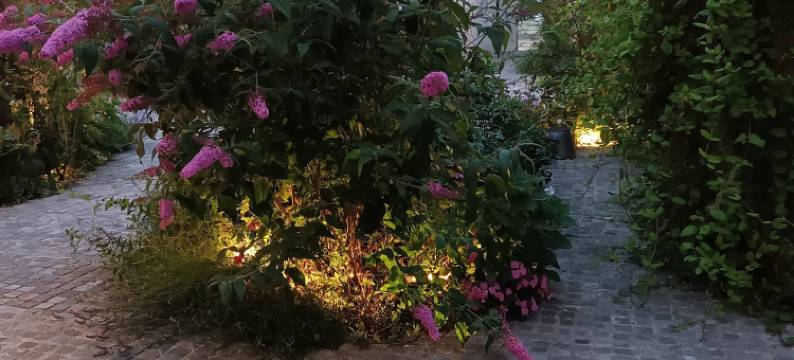 佬塞勒莱冈什酒店(Hôtel Loysel le Gaucher)图片