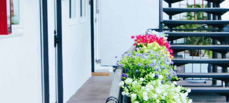 涅槃酒店(Nirvana Hotel)图片