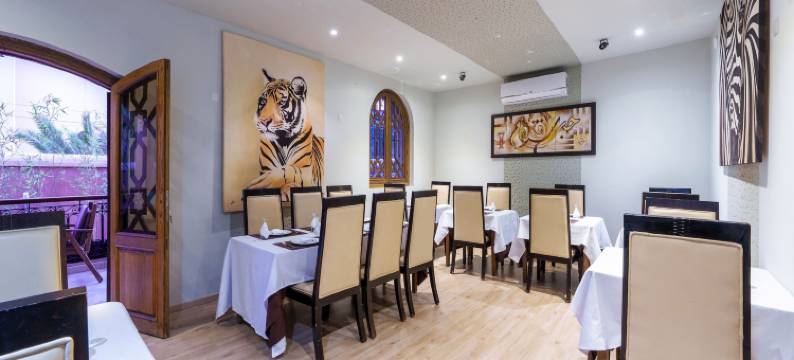 马拉喀什中心乌斯怀亚别墅庭院(Riad Ushuaia la Villa - Centre Marrakech)图片